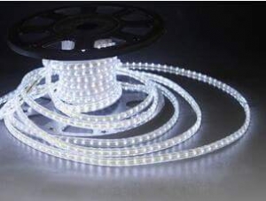 Manufacturers Exporters and Wholesale Suppliers of Coloured Light A Faridabad Haryana